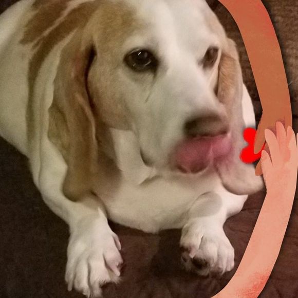 Meet your Posher, Marsha - Picture 1 of 1